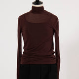 Cashmere Silk Sheer Turtleneck