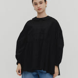 Flat Collar Sheer Blouse