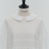 Flat Collar Sheer Blouse
