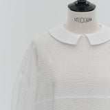 Flat Collar Sheer Blouse