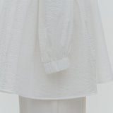 Flat Collar Sheer Blouse