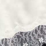 Charming Satin Lace Camisole